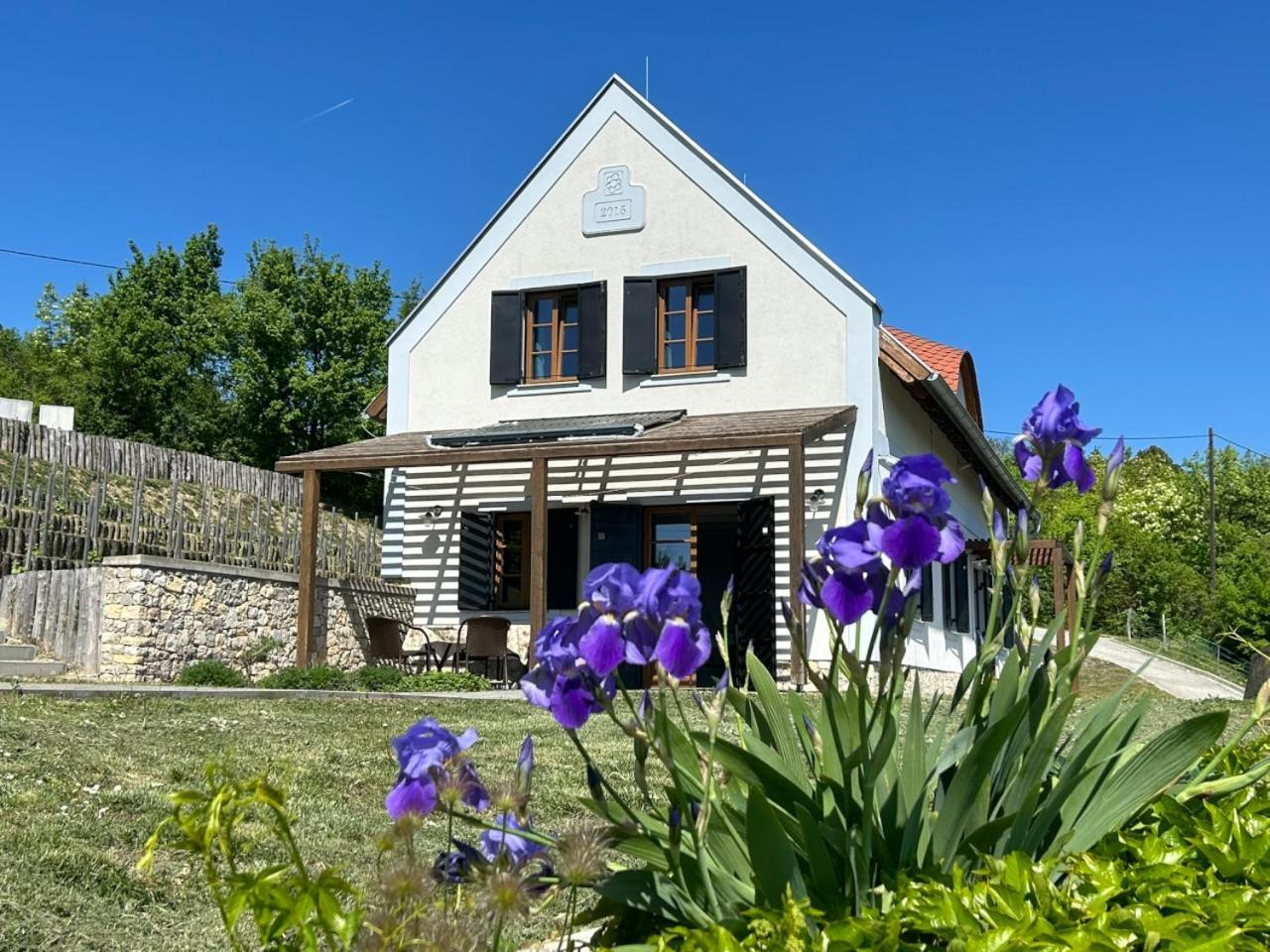 Borbora Borhaz Villa Vászoly Eksteriør bilde